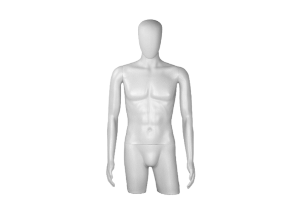 Торс мужской удлинённый с головой